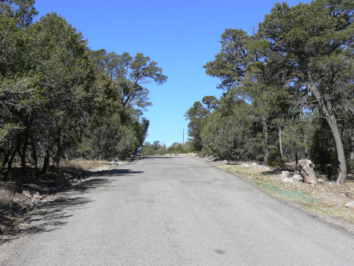 BunnyRoad